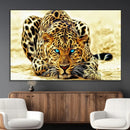Blue-Eyed Leopard Canvas Wall Art - Framed Animal Print