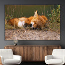 Sleeping Fox Wall Art Canvas Print, Farmhouse Wall Decor and