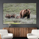 Wildlife Photography of 399 Grizzly Bear Cubs | Queen of the