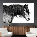 Black Horse Wall Art Canvas Print – Elegant Farmhouse Decor
