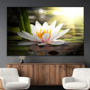 Lotus Flower Wall Art Canvas Print, Water Lily Large Wall