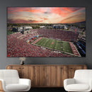 Indiana Memorial Stadium Wall Art Canvas Print, Framed