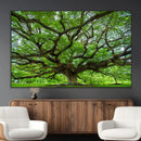 Angel Oak Tree Wall Art Canvas Print – Framed Majestic