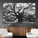 Ancient Oak Wall Art Canvas Print – Gnarled Tree Twisted by MyGreatCanvas | Canvas Wall Art Prints | Photo Prints & Wall Decor