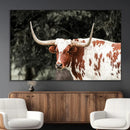 Texas Longhorn Wall Art Canvas Print – Framed Spotted Bull