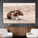 Texas Longhorn Wall Art Canvas Print – Framed Resting Bull by MyGreatCanvas | Canvas Wall Art Prints | Photo Prints & Wall Decor