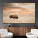 MyCanvas -