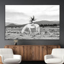 White Horse Wall Art Canvas Print – Framed Woman Rider