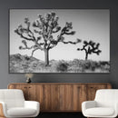 Joshua Tree Wall Art Canvas Print – Framed Monochrome Desert