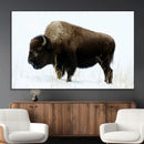 Bison Wall Art Canvas Print – Framed Western Wildlife