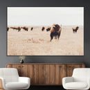 Bison Herd Wall Art Canvas Print – Framed Western Prairie