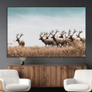 Elk Herd Wall Art Canvas Print – Framed Wildlife Photography