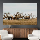 Elk Herd Wall Art Canvas Print – Framed Wildlife Photography by MyGreatCanvas | Canvas Wall Art Prints | Photo Prints & Wall Decor