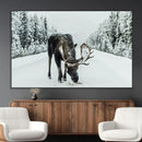 Moose Snow Wall Art Canvas Print – Framed Winter Wildlife