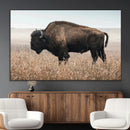 American Bison Wall Art Canvas Print – Majestic Buffalo