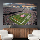 Chicago Bears Soldiers Field Wall Art Canvas Print – Framed