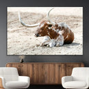 Majestic Longhorn Wall Art Canvas Print – Resting on Sunlit by MyGreatCanvas | Canvas Wall Art Prints | Photo Prints & Wall Decor