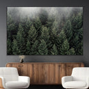 Dense Evergreen Forest Misty Morning Fog Pine Trees Woodland by MyGreatCanvas | Canvas Wall Art Prints | Photo Prints & Wall Decor