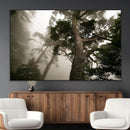 Misty Forest Tall Trees Foggy Atmosphere Nature Serenity by MyGreatCanvas | Canvas Wall Art Prints | Photo Prints & Wall Decor