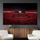 Dooley Stadium Wall Art, Sports Arena Canvas Print, Dooley by MyGreatCanvas | Canvas Wall Art Prints | Photo Prints & Wall Decor