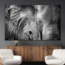 Wild Old Elephant Wall Art Canvas Print