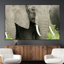 Wild Elephant Wall Art Canvas Print by MyGreatCanvas | Canvas Wall Art Prints | Photo Prints & Wall Decor