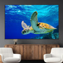 Sea Turtle Wall Art Canvas Print, Sea life in the Ocean Wall