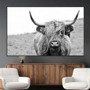 Newfoundland Cow Art Wall Art, Black White Cow Art Wall Art