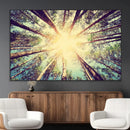 Tree and Sunshine Canvas Print