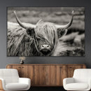 Cow Focus Canvas Wall Art Print by MyGreatCanvas | Canvas Wall Art Prints | Photo Prints & Wall Decor