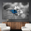 Blue Butterfly Black and White Canvas Wall Art by MyGreatCanvas | Canvas Wall Art Prints | Photo Prints & Wall Decor