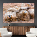 Lion Pair Wall Art Canvas Print – Framed Wildlife Scene with