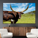 Longhorn and Cow Wall Art, Country Cow Wall Decor Canvas by MyGreatCanvas | Canvas Wall Art Prints | Photo Prints & Wall Decor