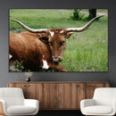 Longhorn Cow Animal Wall Art Canvas Print by MyGreatCanvas | Canvas Wall Art Prints | Photo Prints & Wall Decor