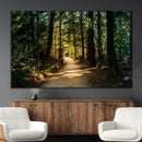 Sunlit Forest Pathway Canvas Print | 3 Panel Large Nature by MyGreatCanvas | Canvas Wall Art Prints | Photo Prints & Wall Decor