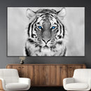 Tiger Canvas Artwork Wall Art Print