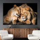 Lion and Lioness Wall Art Canvas Print – Framed African
