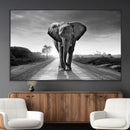 Black and White Elephant Wall Art Canvas Print