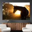 Horse at Sunset Wall Art Animal Canvas Print