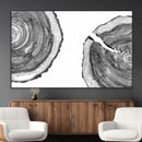 Abstract Large Tree Rings – Minimalist Black and White Wood