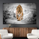 Jaguar Wall Art Canvas Print - Majestic Big Cat in Focused by MyGreatCanvas | Canvas Wall Art Prints | Photo Prints & Wall Decor