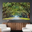 Wormsloe State Plantation Driveway Wall Art Canvas Print by MyGreatCanvas | Canvas Wall Art Prints | Photo Prints & Wall Decor