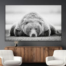 Resting Grizzly Bear Wall Art Canvas Print – Majestic Lazy by MyGreatCanvas | Canvas Wall Art Prints | Photo Prints & Wall Decor