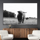 Black and White Highland Cow Wall Art Canvas Print | Rustic