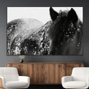 Black Horse in Snow Canvas Print | Winter Horse Wall Art |