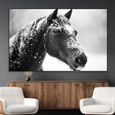Horse Canvas Print - Winter Horse Snow Wall Art Canvas Print