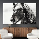 Framed Black and White Horse Wall Art | Ready to Hang and by MyGreatCanvas | Canvas Wall Art Prints | Photo Prints & Wall Decor