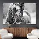 Black and White Horse Winter Wall Art | Ready to Hang and