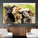 Curious Cows Farmhouse Wall Art | Ready to Hang and Framed