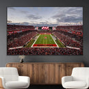 Florida Tampa Raymond James Stadium Wall Art Canvas Print -